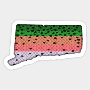 Trout Fishing Rainbow Trout Pattern Connecticut State Map Sticker